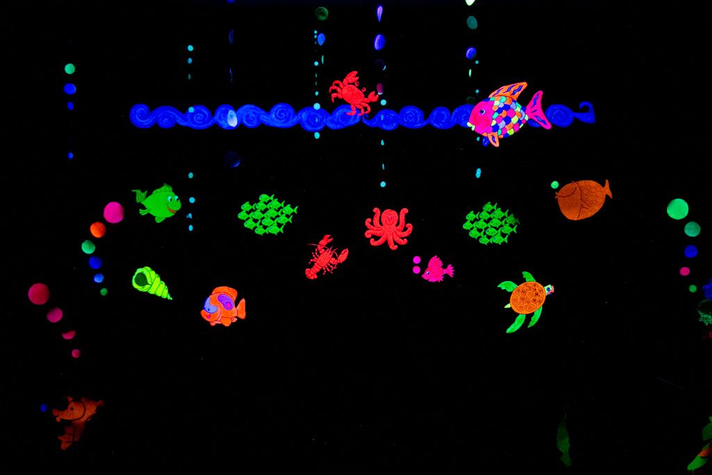 pez arcoiris-3